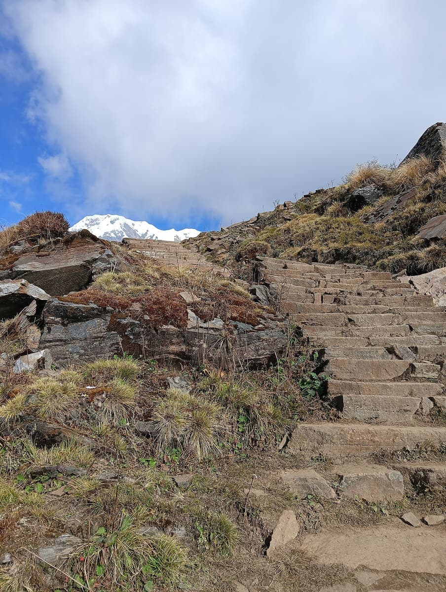 Annapurna rice terraces, late light