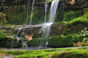 Chitwan Nepal — wildlife and jungle safari destination guide