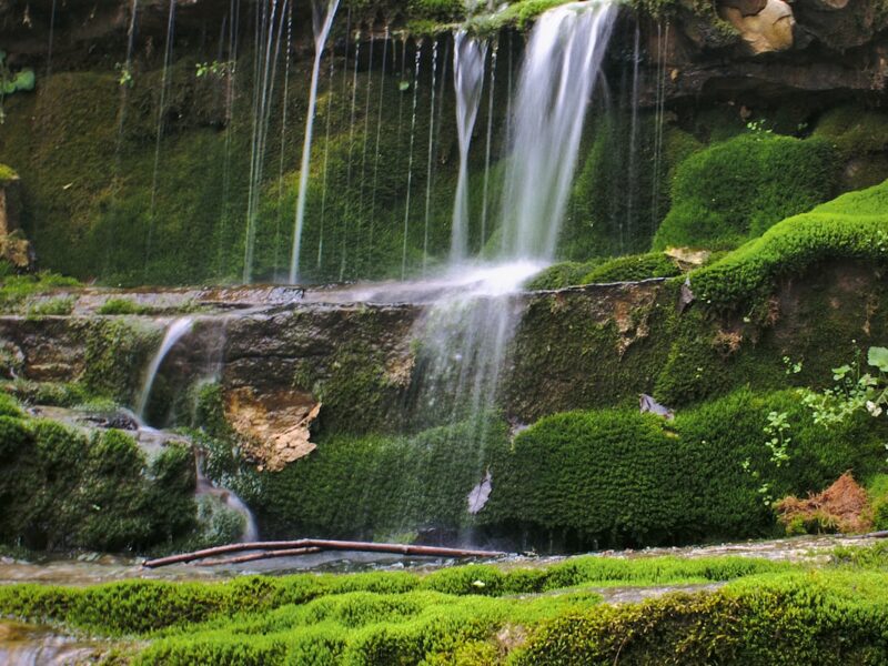 Chitwan National Park Wildlife Safari — 4 Days